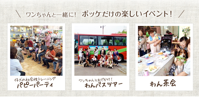 パピーパーティー・わん茶会・わんバスツアー